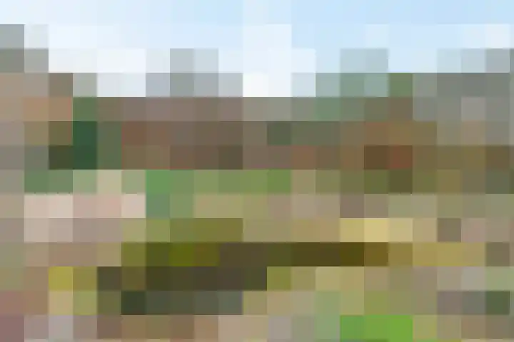 Hellenkamp 5 Warnsveld thumbnail 32