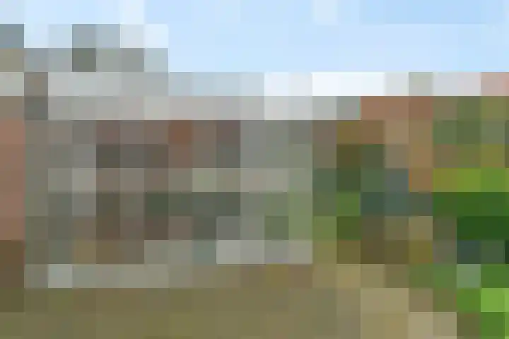 Hellenkamp 5 Warnsveld thumbnail 33