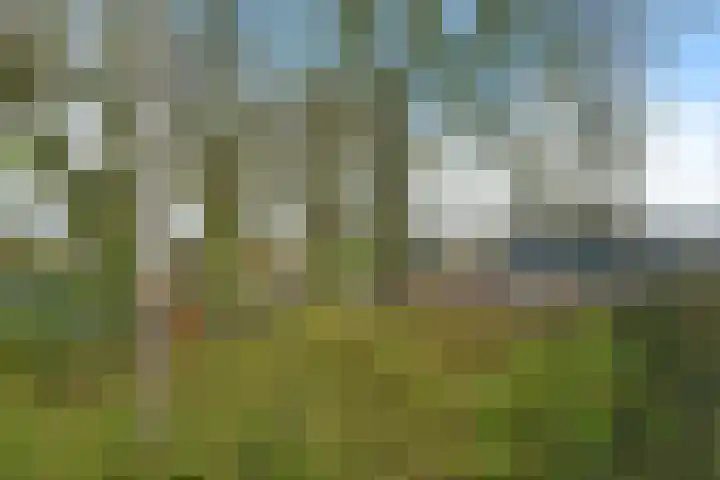 Hellenkamp 5 Warnsveld thumbnail 35