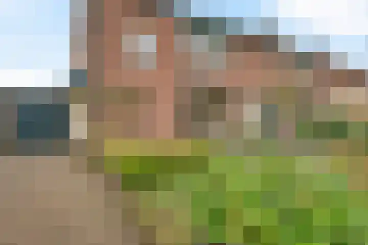 Hellenkamp 5 Warnsveld thumbnail 4