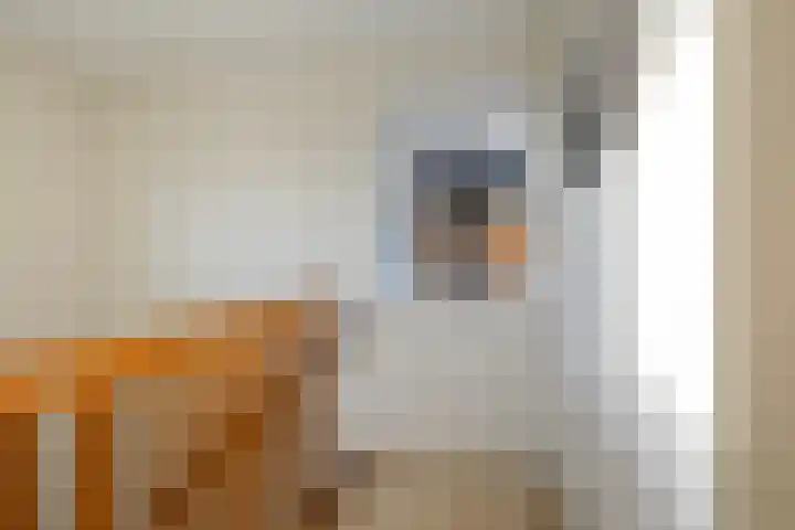 Helling 23 Stiens thumbnail 17