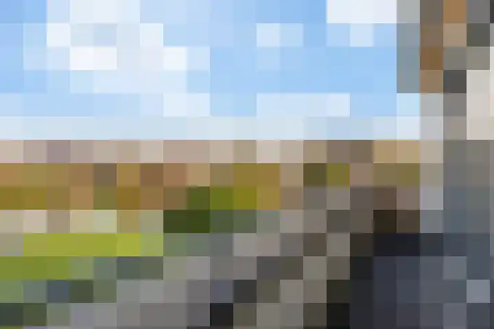 Helling 23 Stiens thumbnail 22