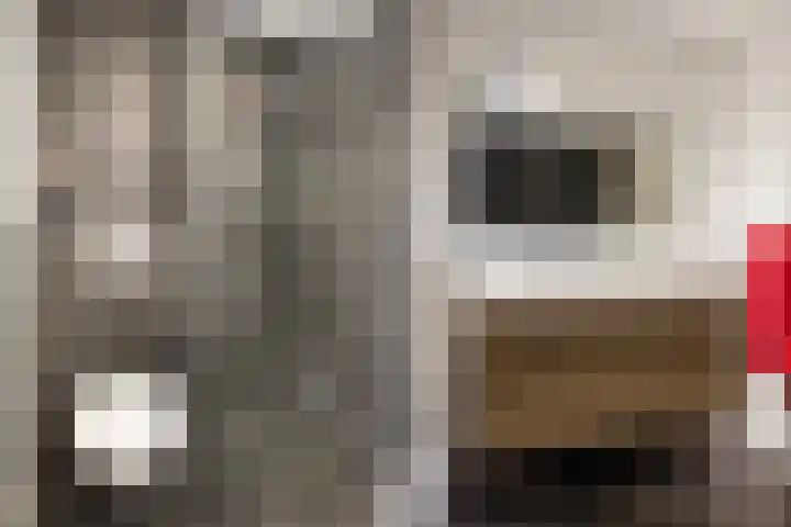 Helling 23 Stiens thumbnail 28