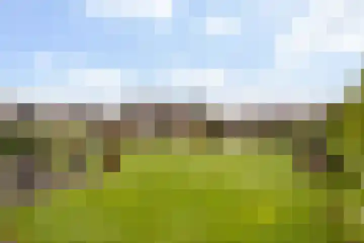 Helling 23 Stiens foto 3