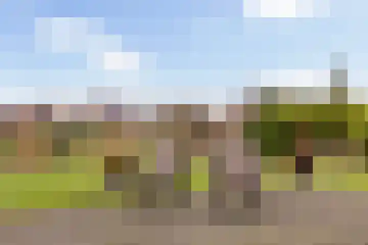 Helling 23 Stiens thumbnail 32