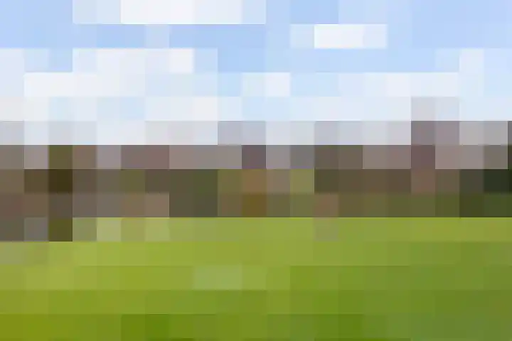 Helling 23 Stiens thumbnail 33