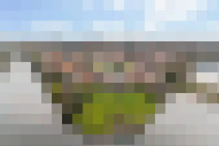 Helling 23 Stiens thumbnail 34