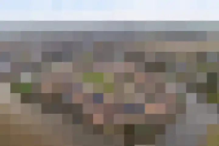 Helling 23 Stiens thumbnail 37
