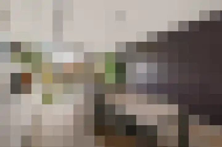 Helling 23 Stiens thumbnail 39