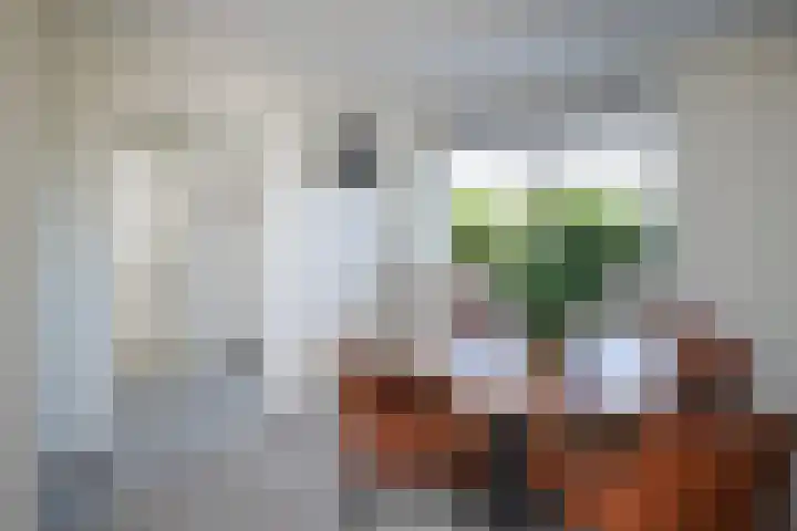 Hellingbaan 25 Ridderkerk thumbnail 12