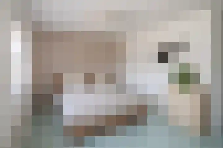 Hellingbaan 25 Ridderkerk thumbnail 20