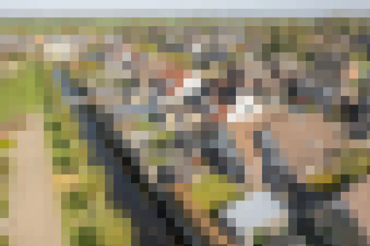 Hellingbaas 22 De Knipe thumbnail 11
