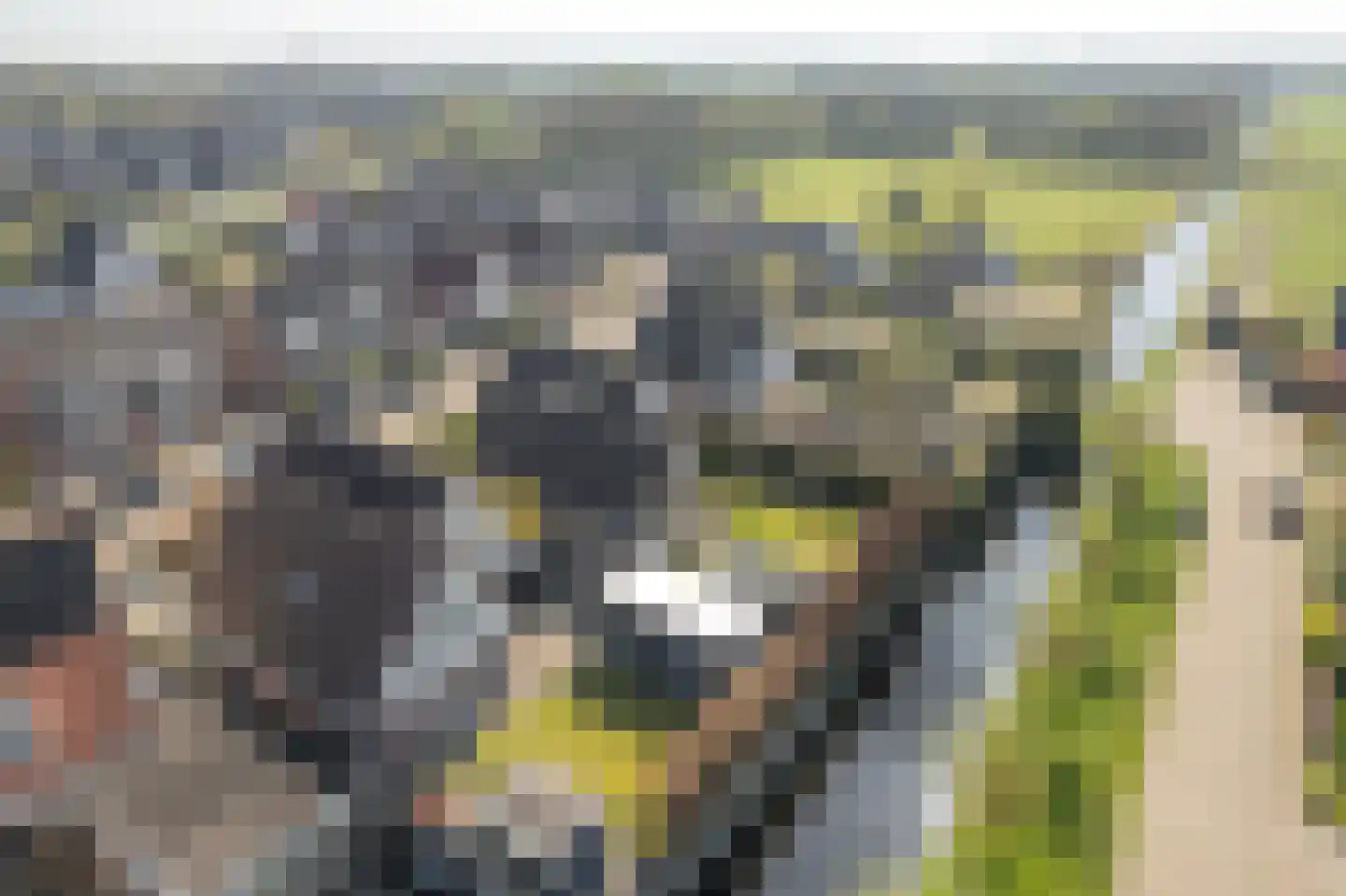 Hellingbaas 22 De Knipe thumbnail 12
