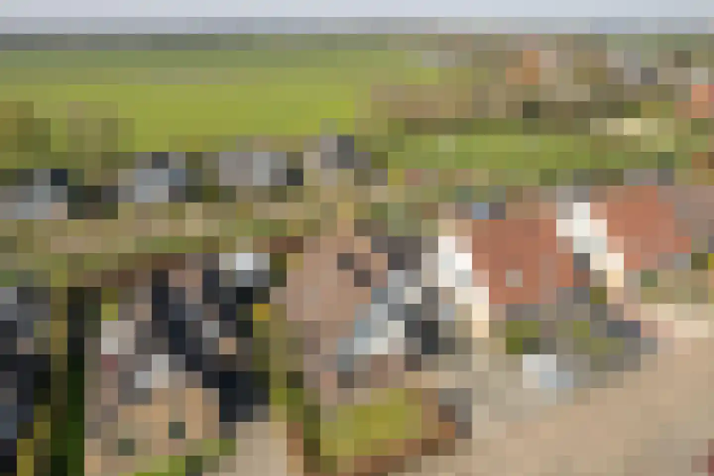Hellingbaas 22 De Knipe thumbnail 13