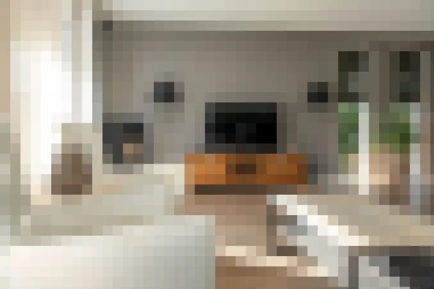 Hellingbaas 22 De Knipe thumbnail 15