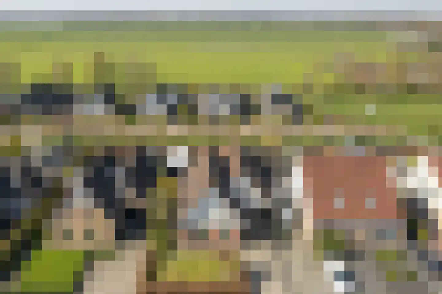 Hellingbaas 22 De Knipe thumbnail 37