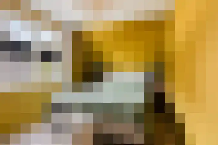 Hellingbaas 4 De Knipe thumbnail 19