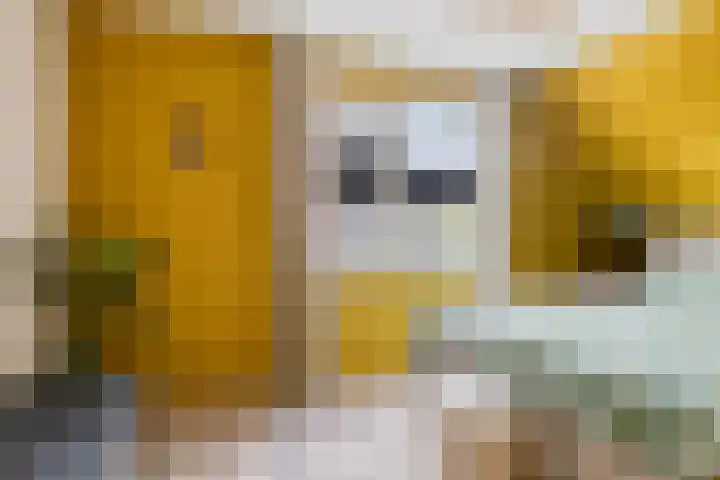 Hellingbaas 4 De Knipe thumbnail 20