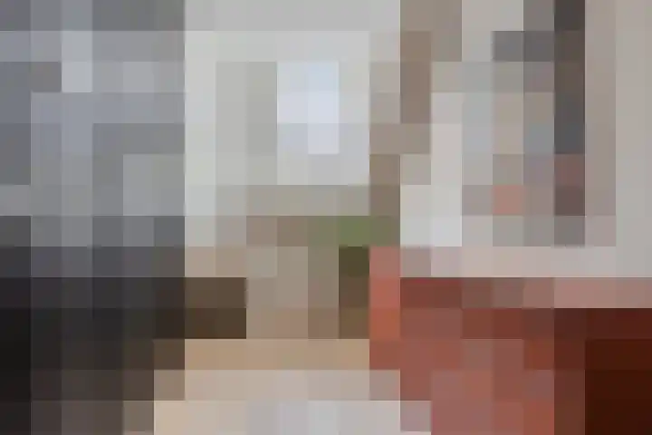 Hellingbaas 4 De Knipe thumbnail 28