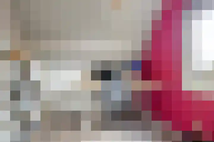 Hellingbaas 4 De Knipe thumbnail 31