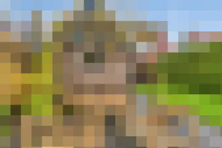 Hellingbaas 4 De Knipe thumbnail 33