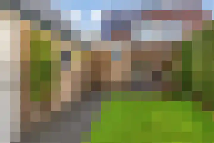 Hellingbaas 4 De Knipe thumbnail 34