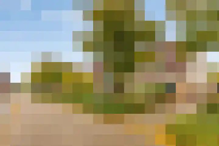 Hellingbaas 4 De Knipe thumbnail 4