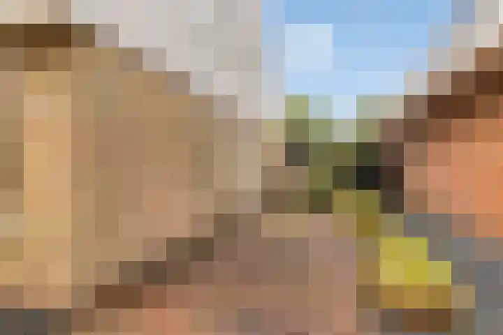 Hellingbaas 4 De Knipe thumbnail 5