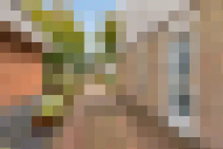 Hellingbaas 4 De Knipe thumbnail 6