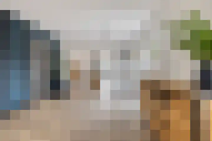 Hellingpad 11 Haskerdijken thumbnail 10