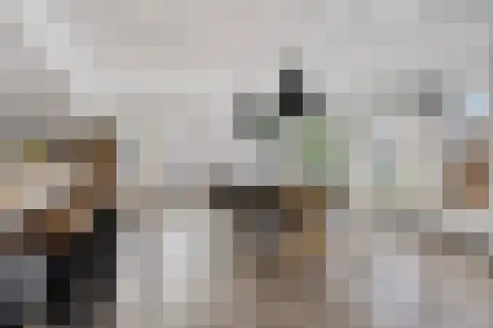 Hellingpad 11 Haskerdijken thumbnail 11