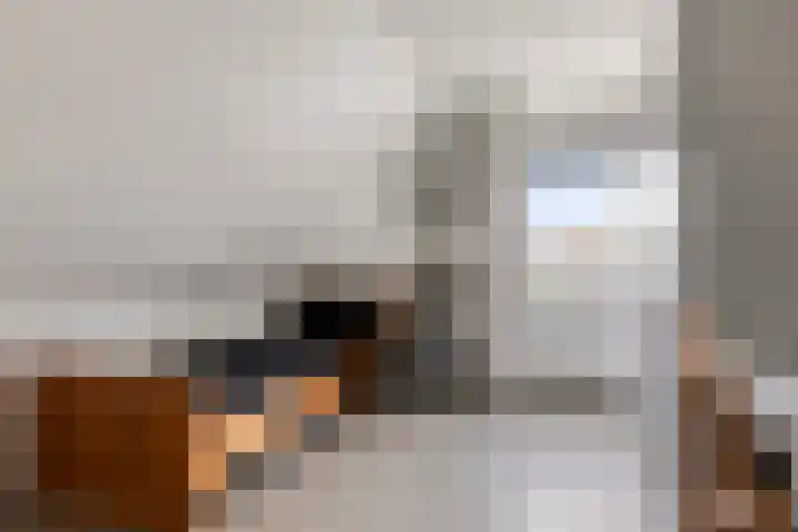 Hellingpad 11 Haskerdijken thumbnail 27