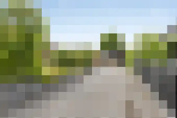 Hellingpad 11 Haskerdijken thumbnail 42