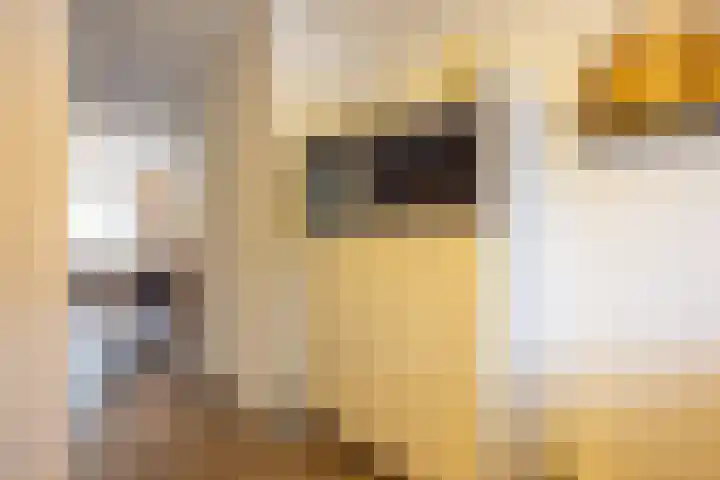 Helmbloem 7 Elsloo thumbnail 11