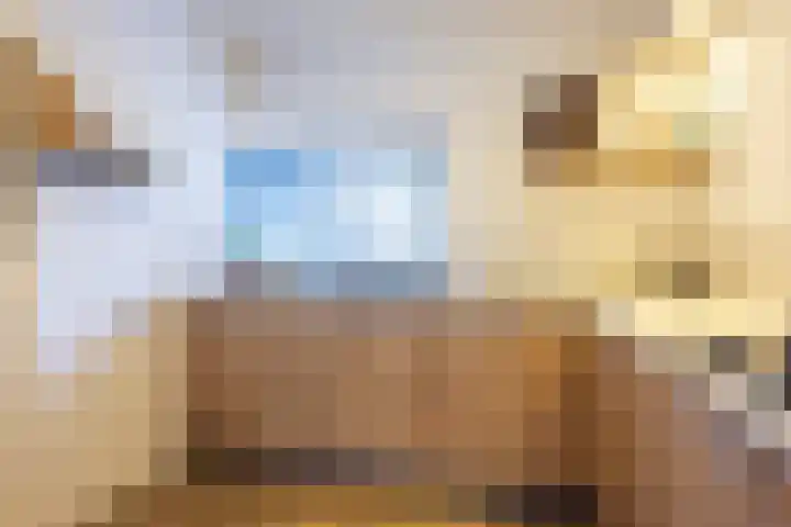 Helmbloem 7 Elsloo thumbnail 13