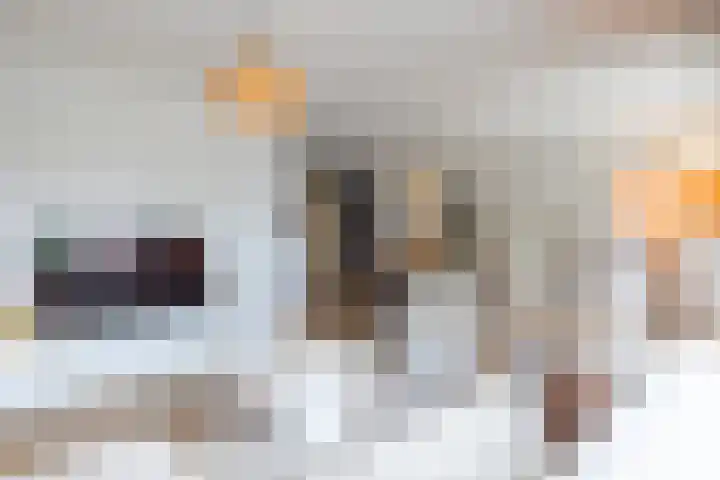 Helmbloem 7 Elsloo thumbnail 20