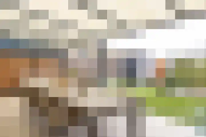 Helmbloem 7 Elsloo thumbnail 23