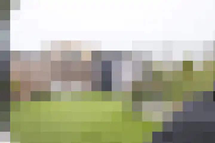 Helmbloem 7 Elsloo thumbnail 24