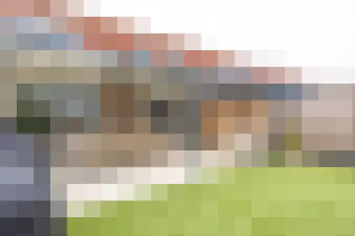 Helmbloem 7 Elsloo thumbnail 26