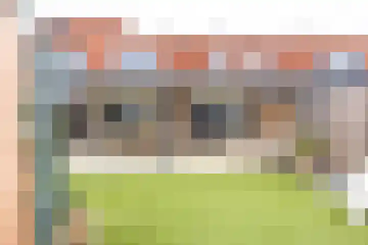 Helmbloem 7 Elsloo thumbnail 27