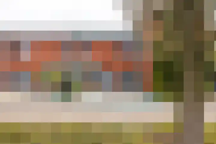 Helmbloem 7 Elsloo foto 3