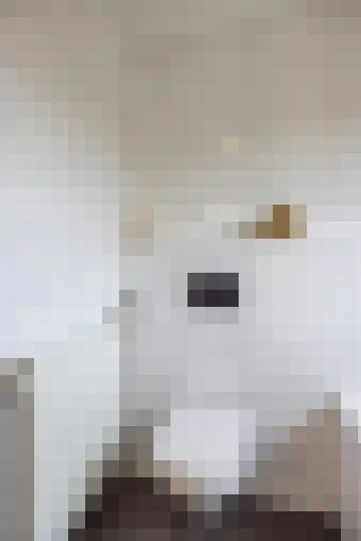 Helmbloem 7 Elsloo thumbnail 39