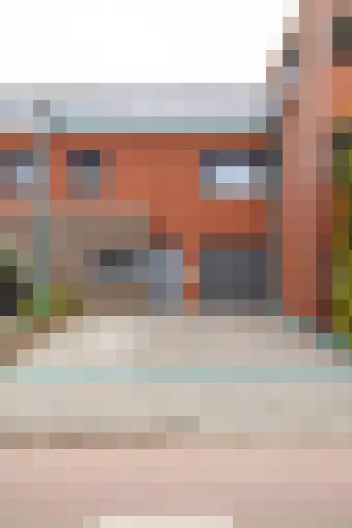 Helmbloem 7 Elsloo thumbnail 4