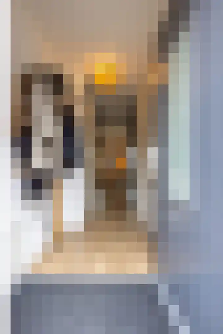 Helmbloem 7 Elsloo thumbnail 6