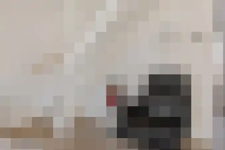 Helmbloemwal 11 Emmen thumbnail 11