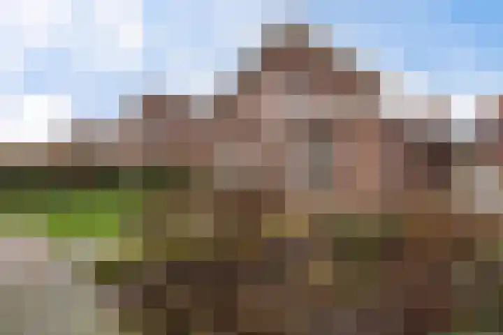 Helmbloemwal 11 Emmen thumbnail 36