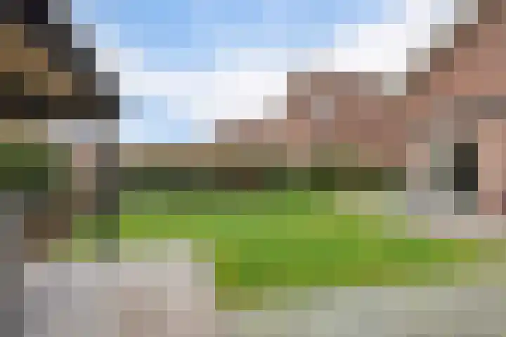 Helmbloemwal 11 Emmen thumbnail 37