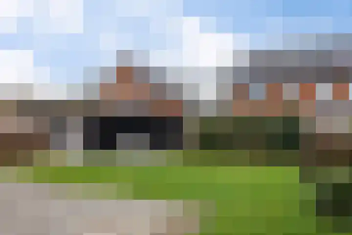 Helmbloemwal 11 Emmen thumbnail 39