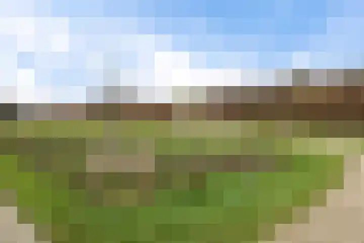 Helmbloemwal 11 Emmen thumbnail 41
