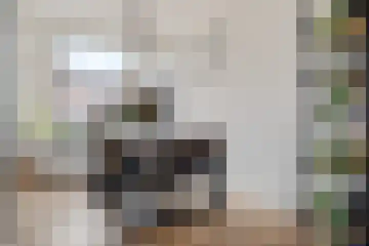 Helmer Molemastraat 8 Warffum thumbnail 11